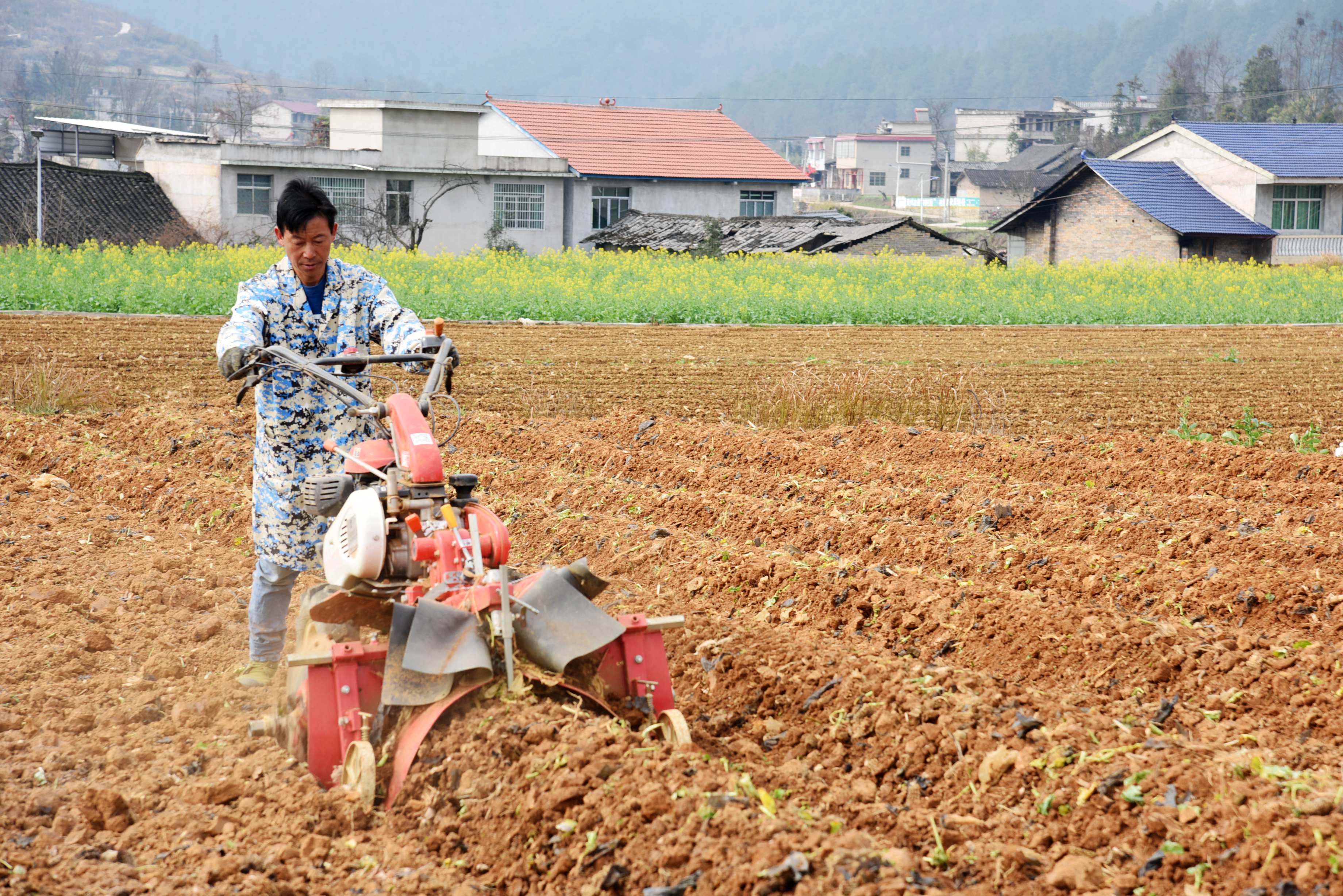 2023年3月5日，贵州省福泉市陆坪镇罗坳村烟农在田地里翻地。.jpg